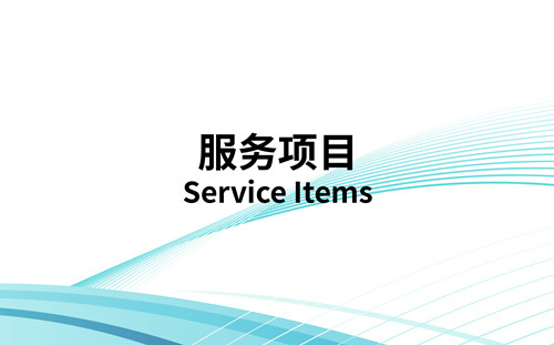 服务项目